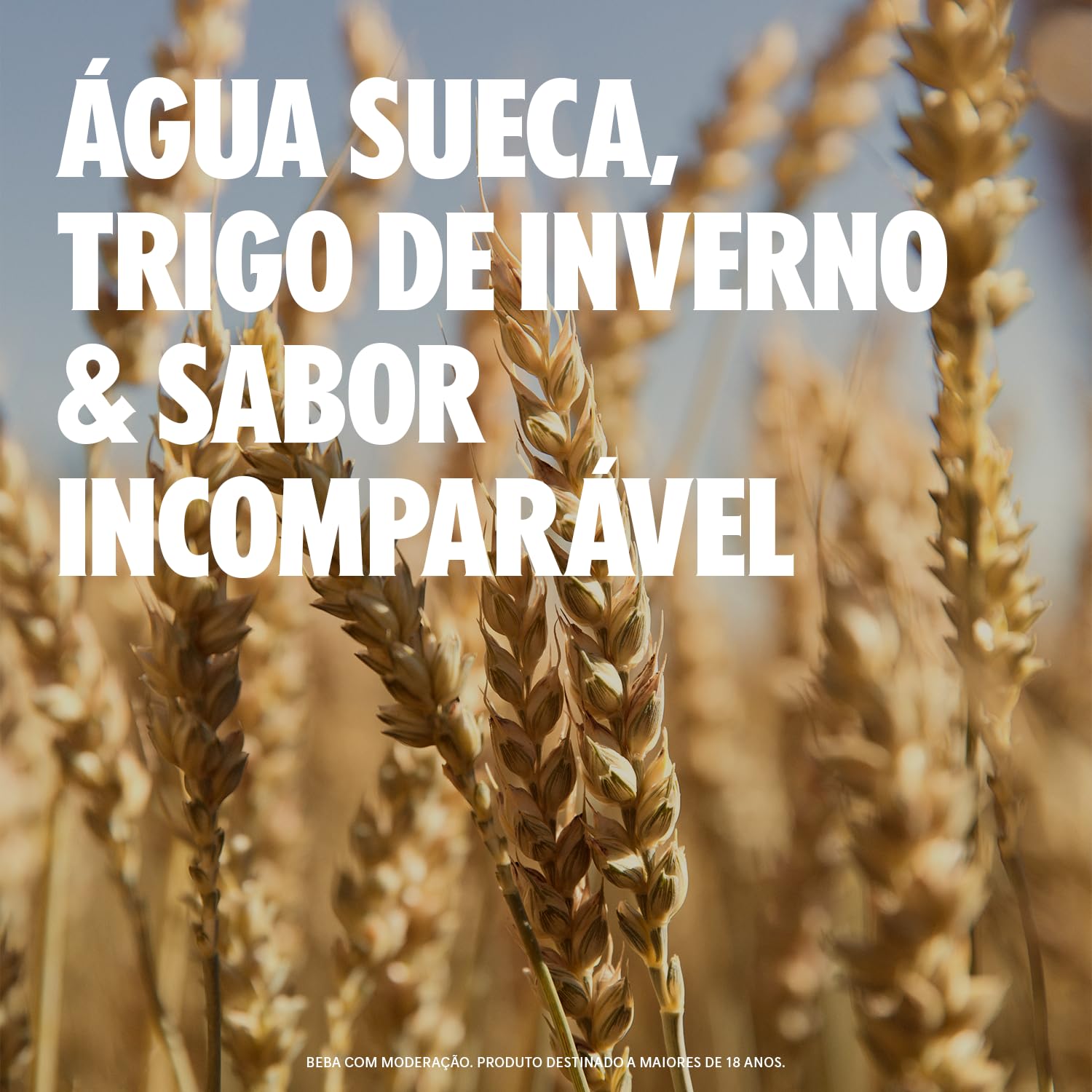 Absolut Vodka - 1 Litro
